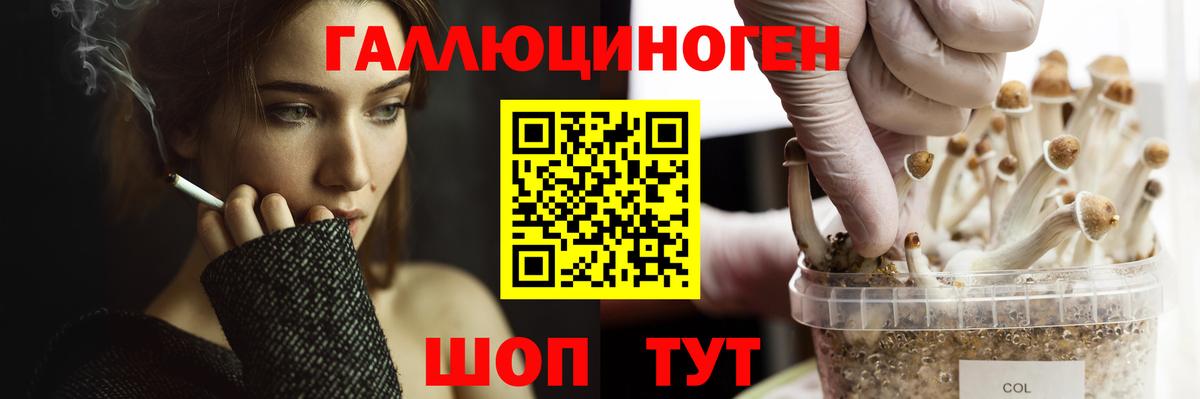 Псилоцибиновые грибы прущие грибы Можайск